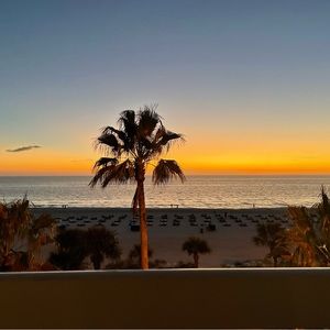 Meet your Posher, Quinn